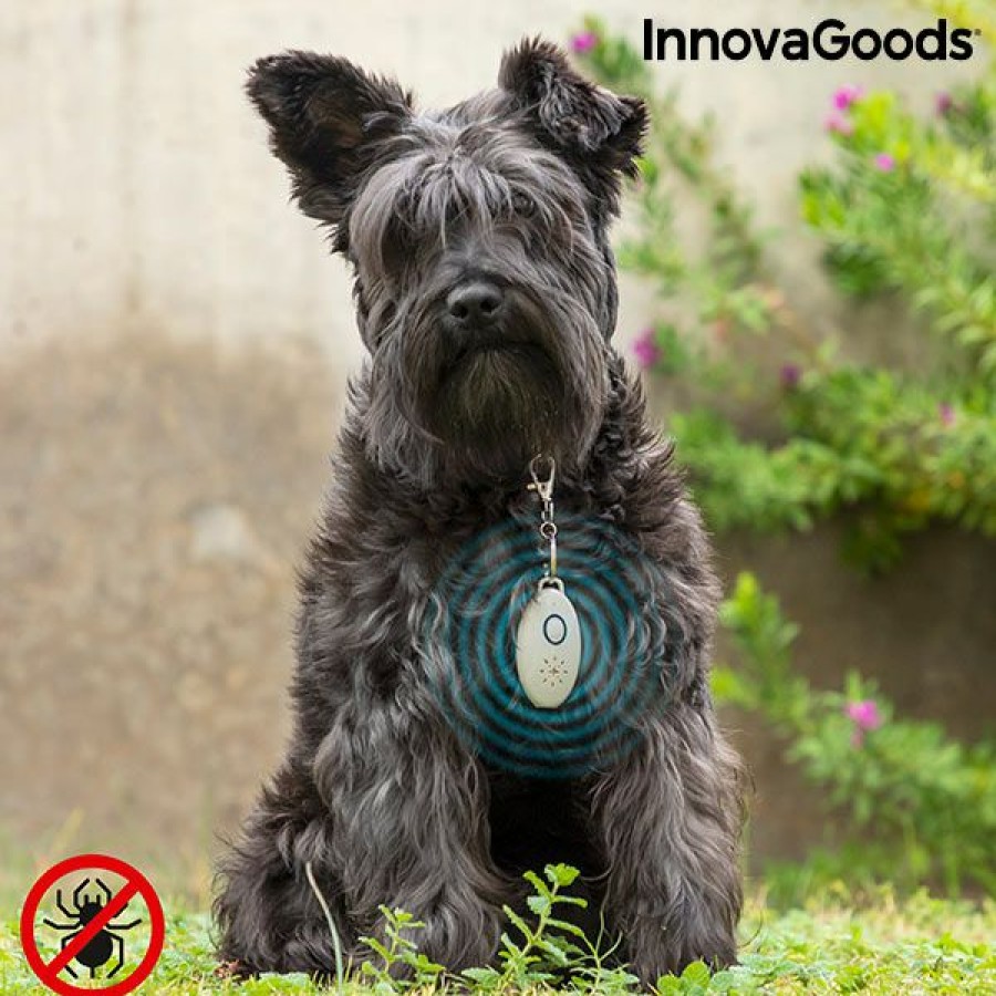 engenhoca InnovaGoods | Repelente De Parasitas Por Ultrassom Recarregavel Para Animais De Estimacao Petrep Innovagoods