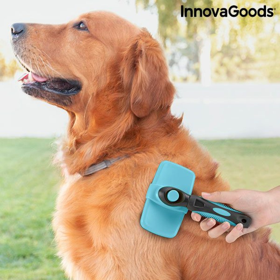 engenhoca InnovaGoods | Escova De Limpeza Para Animais De Estimacao Com Cerdas Retrateis Groombot Innovagoods