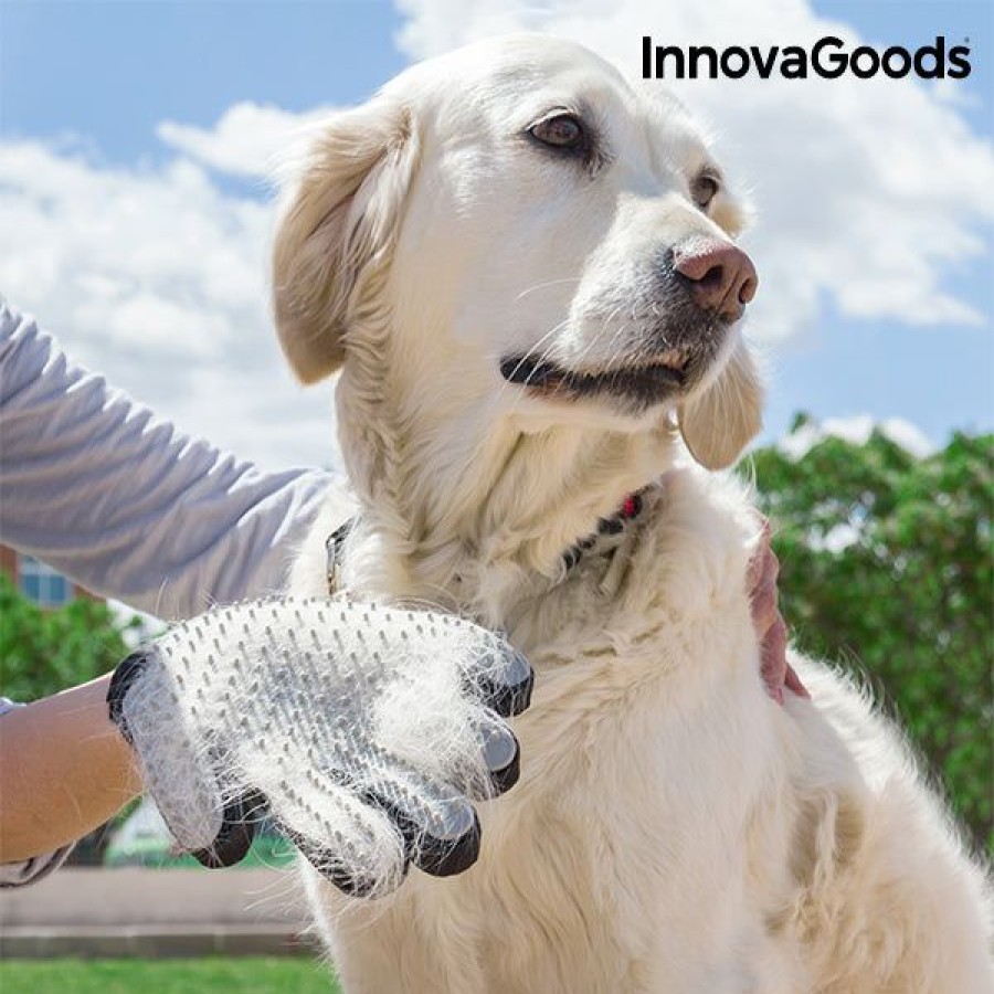 engenhoca InnovaGoods | Luva Para Escovar E Massajar Animais De Estimacao Relpet Innovagoods